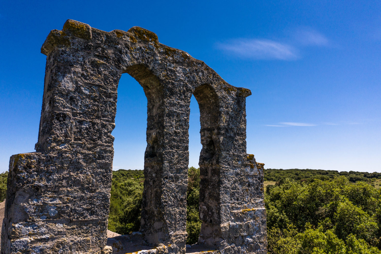 Chapelle Saint-Martin-du-Cardonnet (34)